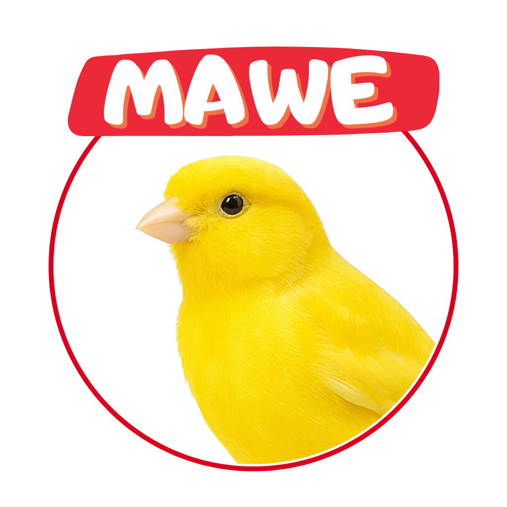 Luteïne geel 250 gr