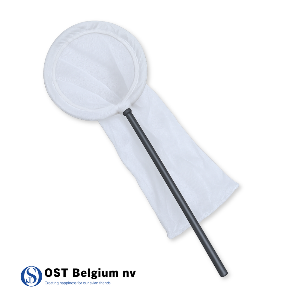 [87645101] Keschersittich (20 cm)