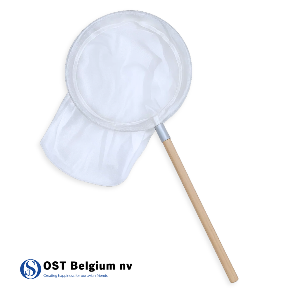Kescher Papagei 35 cm, Stiellänge 40 cm